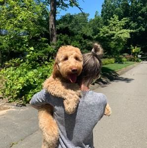 Meet your Posher, Julia